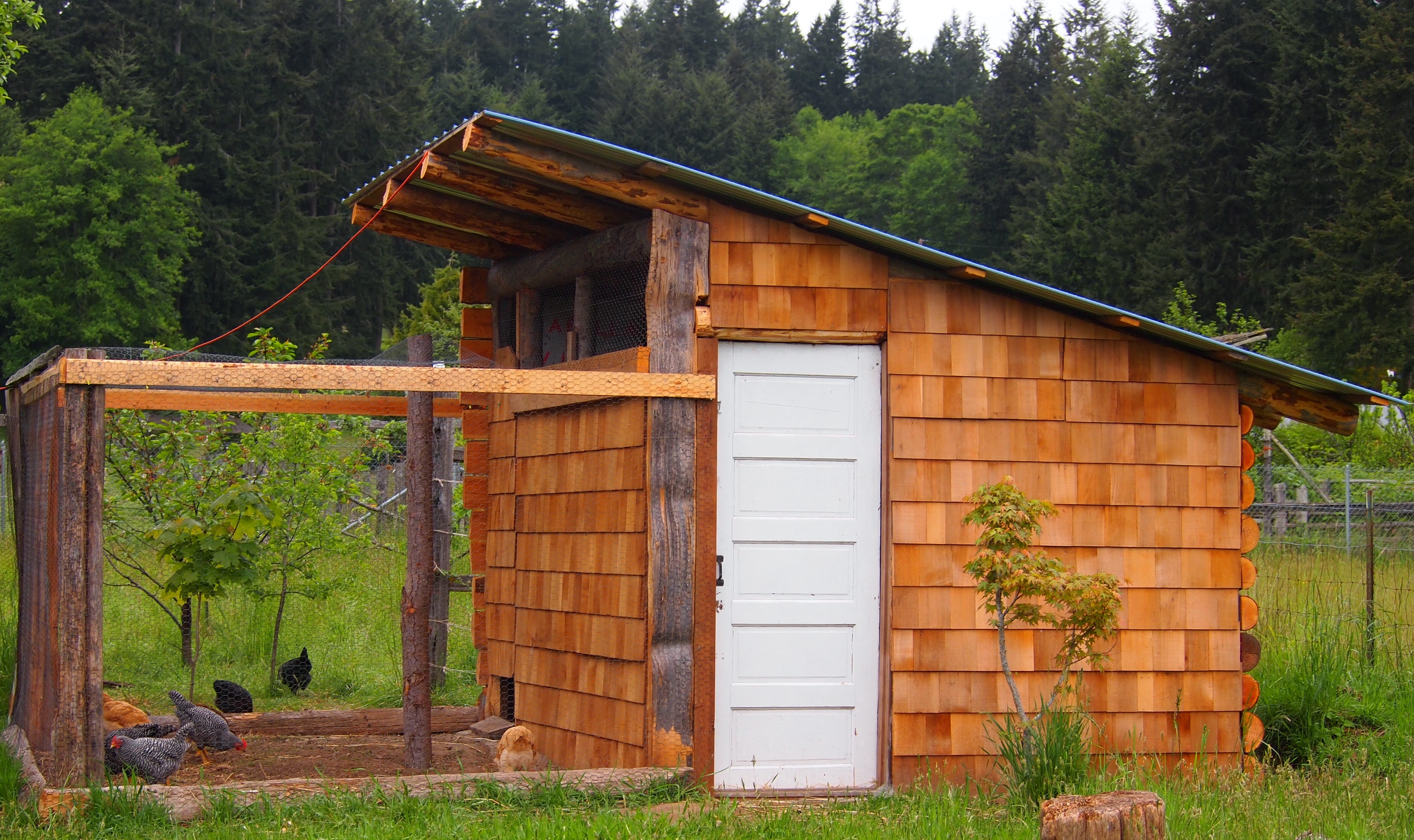 Chicken Coop: The Final Product | Live Simple Natural